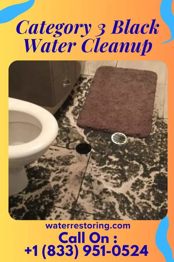 Category 3 Black Water Cleanup in Marceline, MO