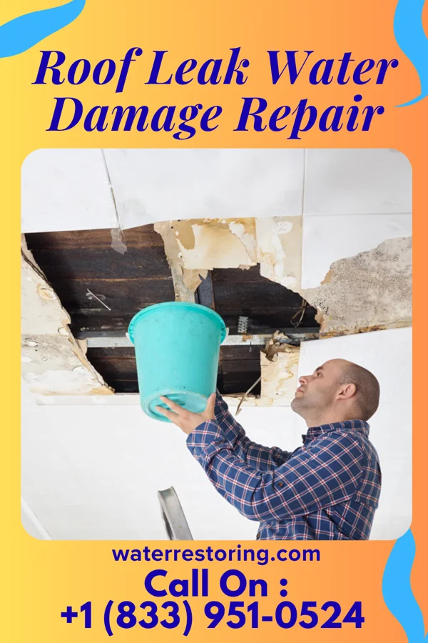 Roof Leak Water Damage Repair in Marceline, MO