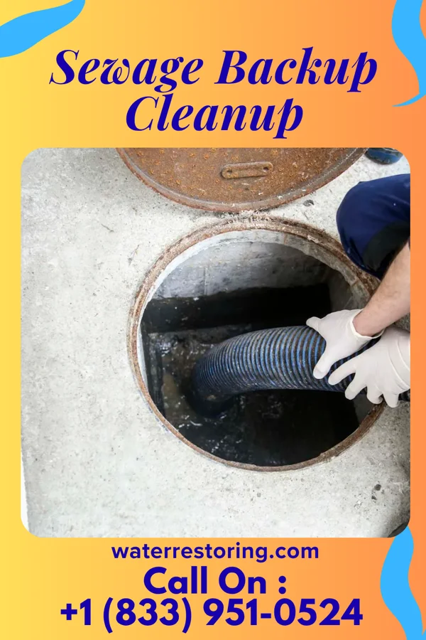 Sewage Backup Cleanup in Marceline, MO